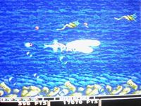 Bio Hazard Battle sur Sega Megadrive